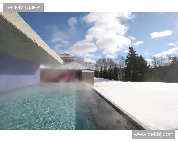 鹿岛鹿角与大阪樱花2018年激战回顾及精彩瞬间分析 鹿岛鹿角与大阪樱花2018年激战回顾及精彩瞬间分析